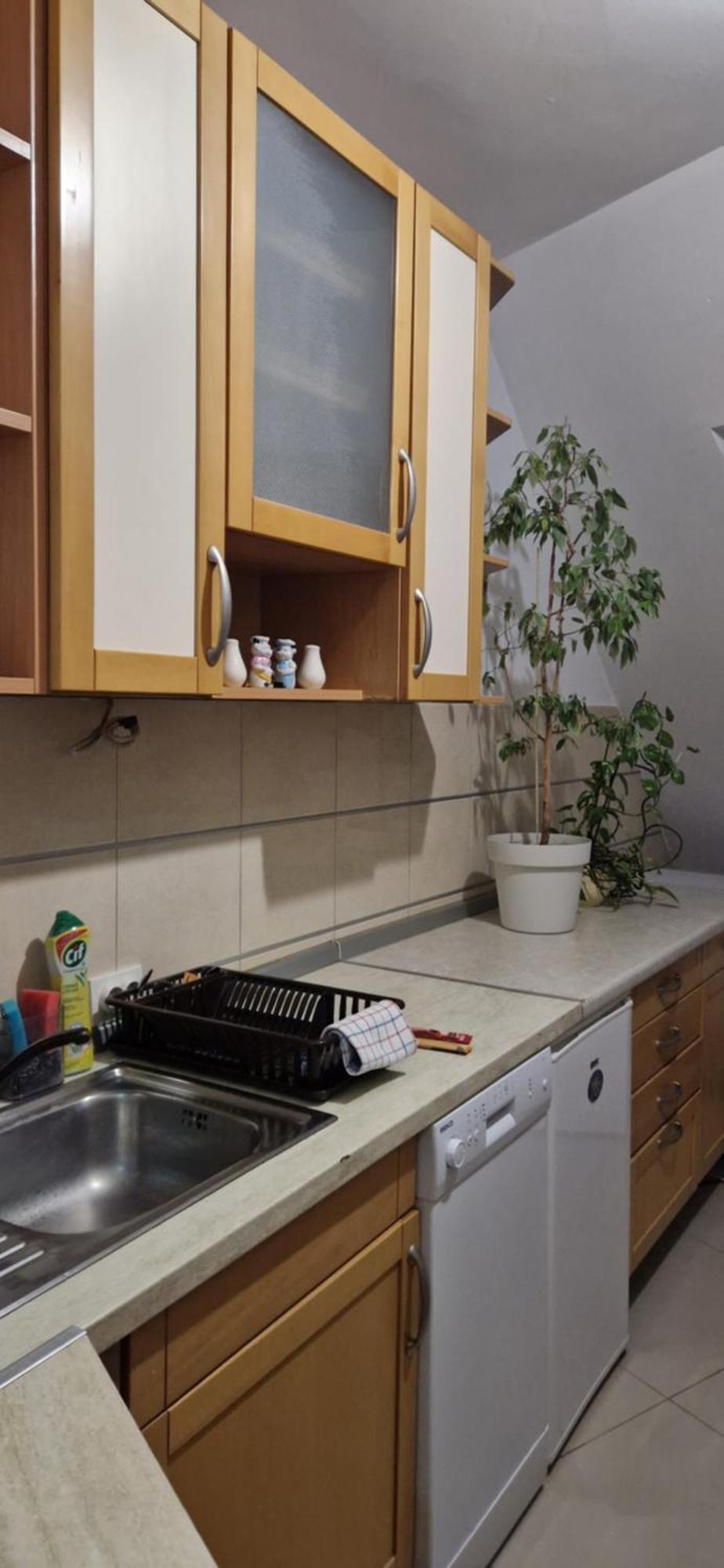 Apartman Natasa 3 Vrsac Extérieur photo