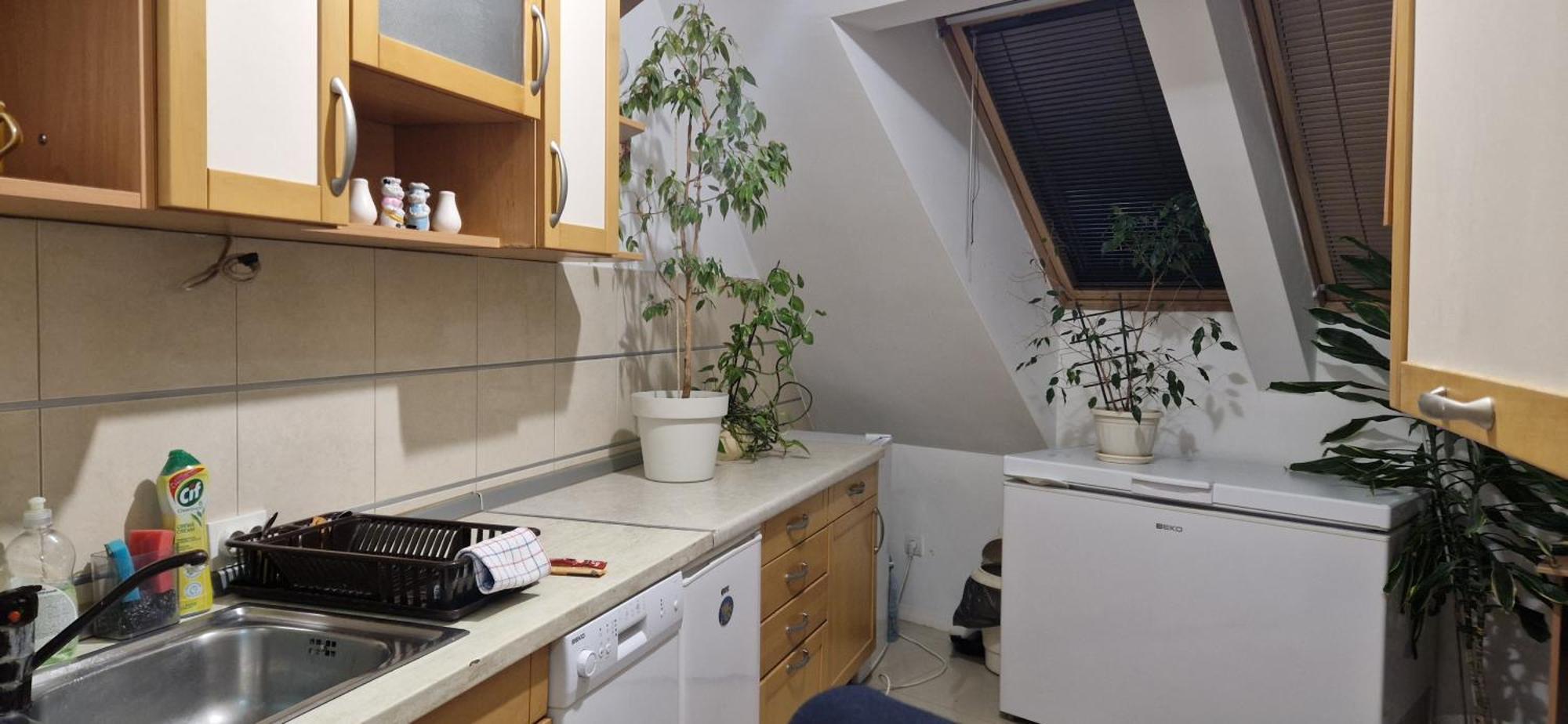 Apartman Natasa 3 Vrsac Extérieur photo